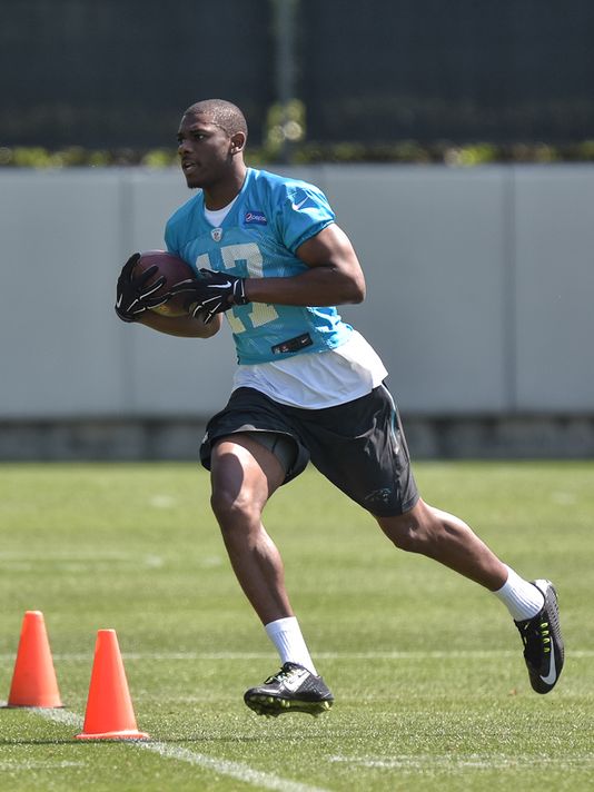 Player Profile: Devin Funchess